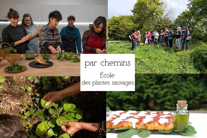 Journée immersive "Gastronomie des plantes sauvages"