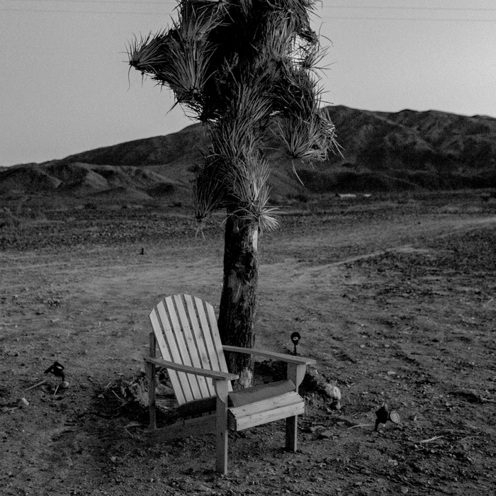 Attention aux vieilles dames rongées par la solitude, de Matéo Visniec