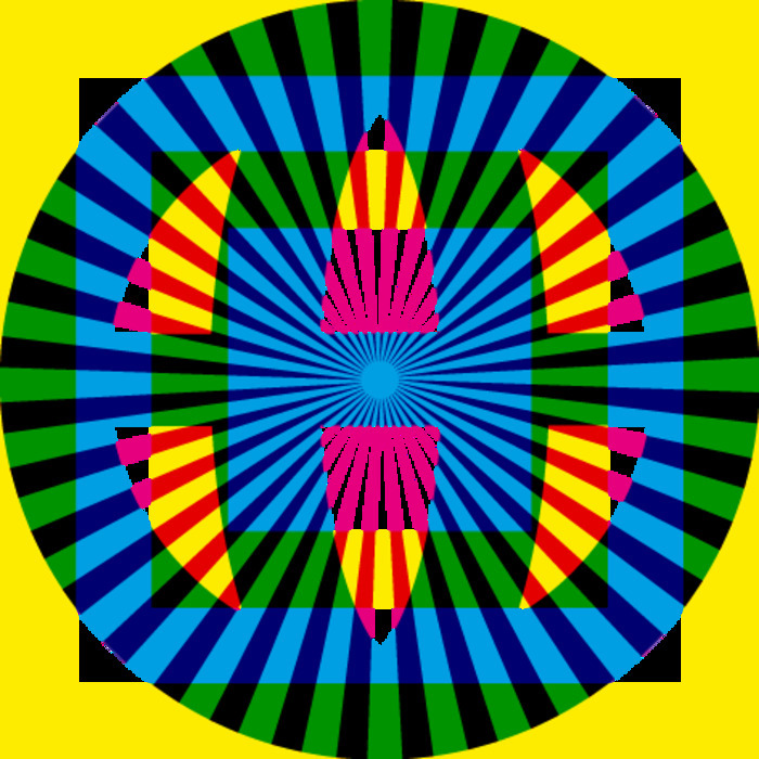 RDV4C Falamos Português !